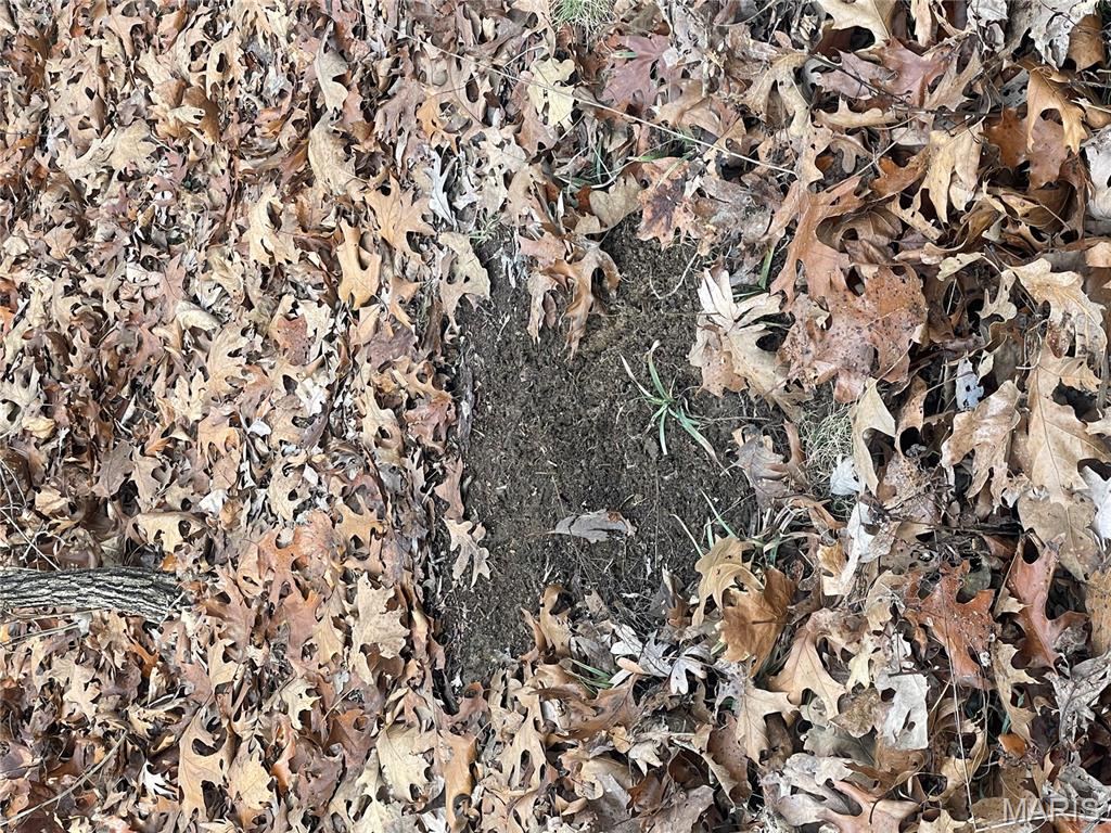 0 Diamond School Road Grubville, MO 63041 - Photo 20 of 58