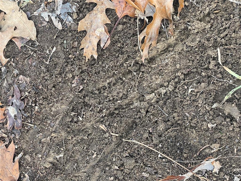 0 Diamond School Road Grubville, MO 63041 - Photo 21 of 58