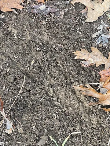 $674,000 | 0 Diamond School Road, Grubville, MO 63041