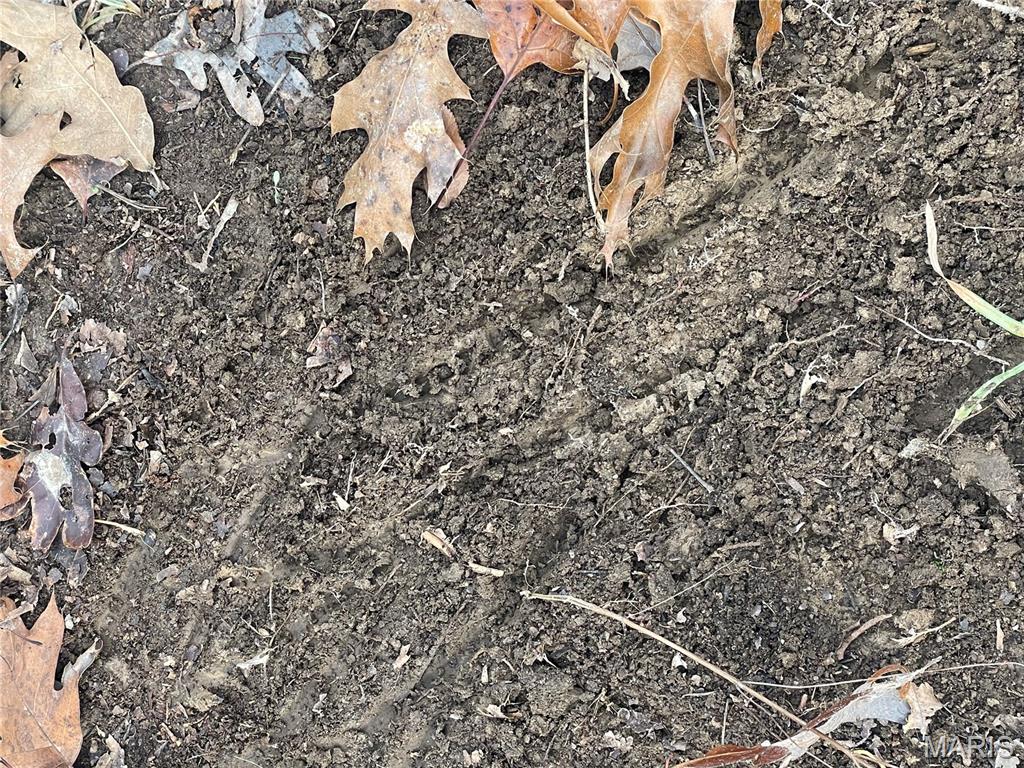 0 Diamond School Road Grubville, MO 63041 - Photo 21 of 58