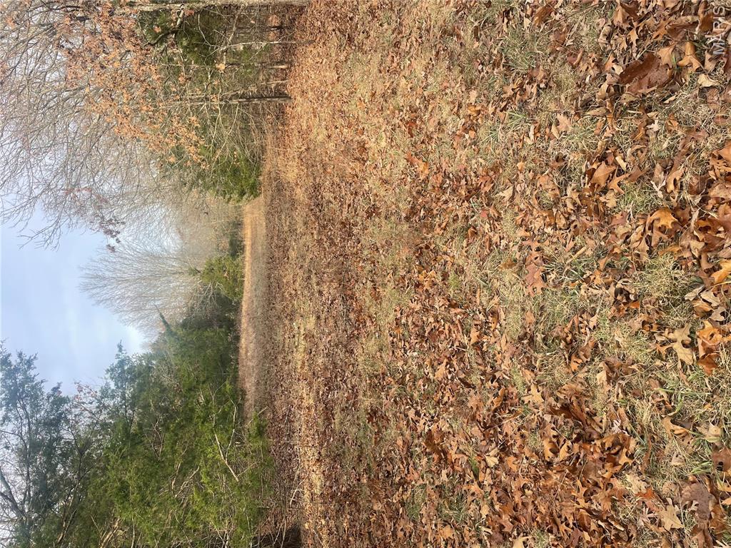 0 Diamond School Road Grubville, MO 63041 - Photo 22 of 58