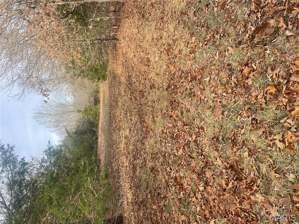 0 Diamond School Road Grubville, MO 63041 - Photo 22 of 58