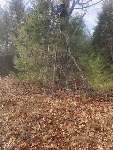 $674,000 | 0 Diamond School Road, Grubville, MO 63041