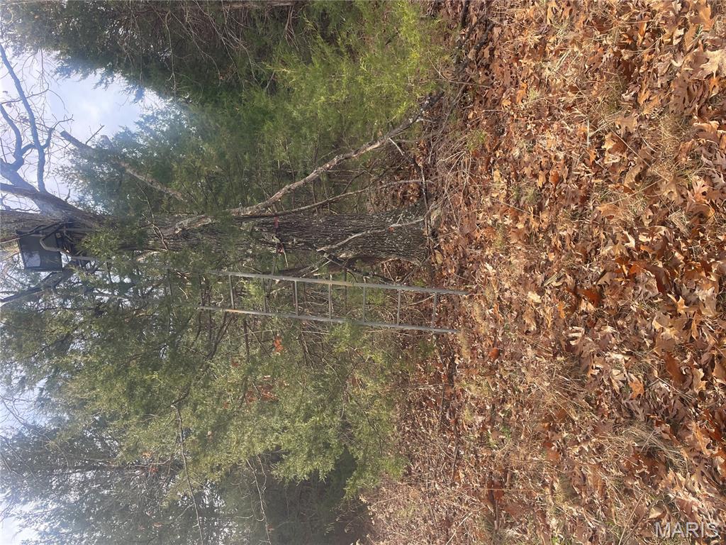 0 Diamond School Road Grubville, MO 63041 - Photo 23 of 58