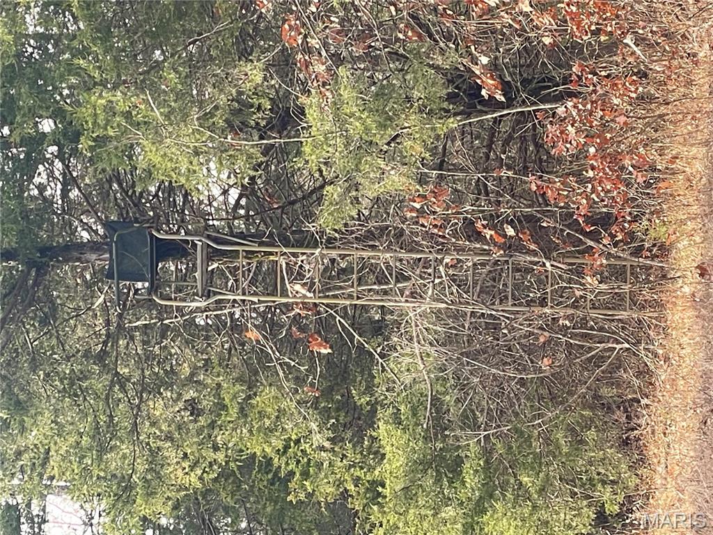 0 Diamond School Road Grubville, MO 63041 - Photo 24 of 58