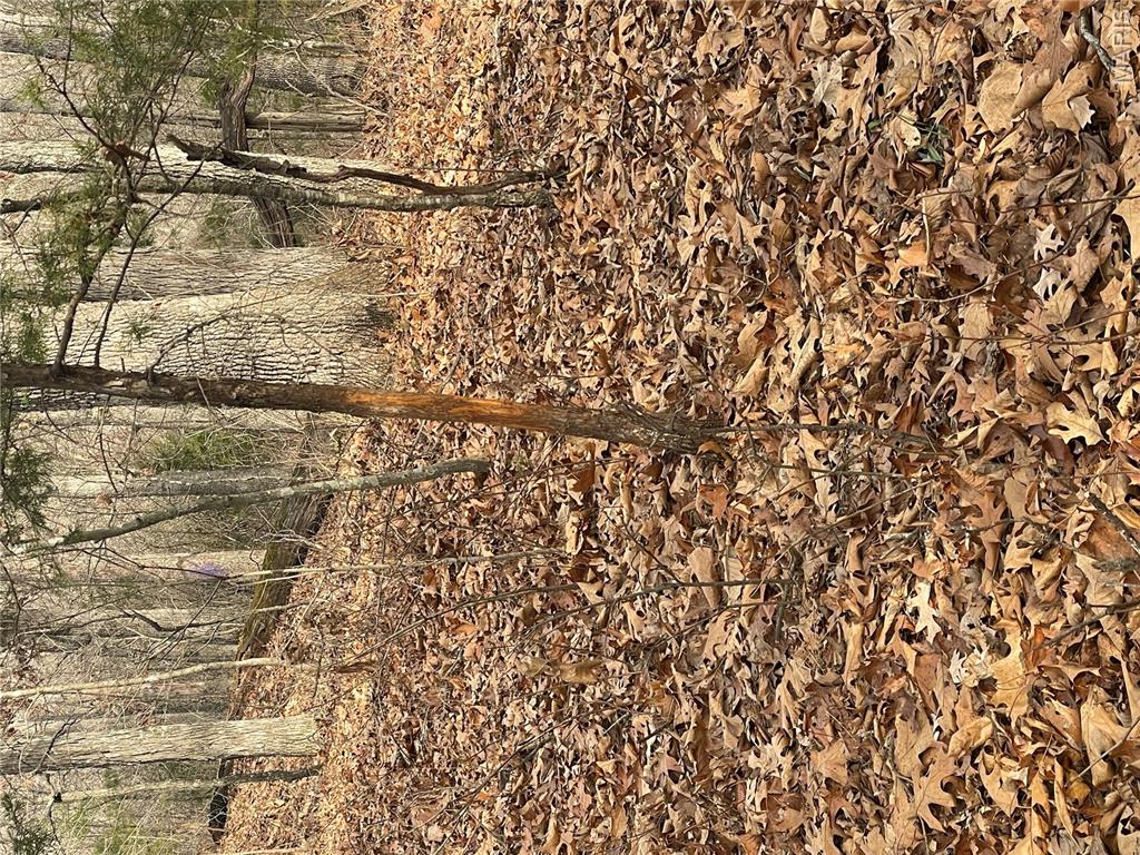 0 Diamond School Road Grubville, MO 63041 - Photo 25 of 58
