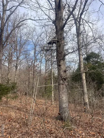 $674,000 | 0 Diamond School Road, Grubville, MO 63041