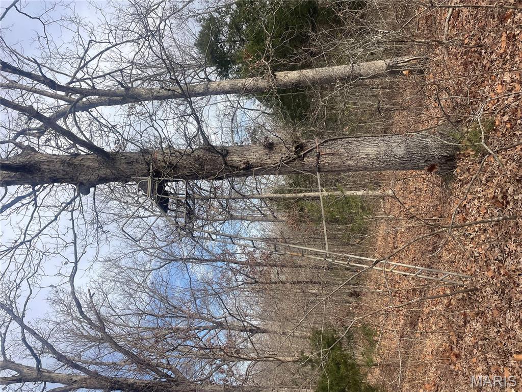 0 Diamond School Road Grubville, MO 63041 - Photo 26 of 58