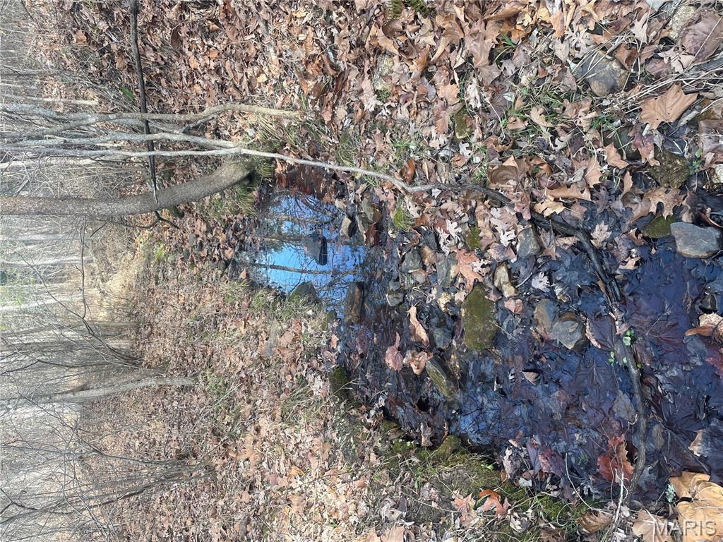 0 Diamond School Road Grubville, MO 63041 - Photo 27 of 58