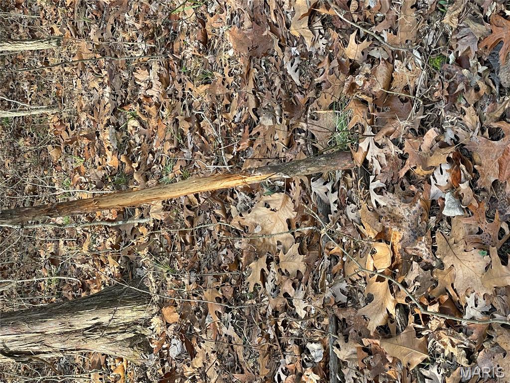 0 Diamond School Road Grubville, MO 63041 - Photo 28 of 58