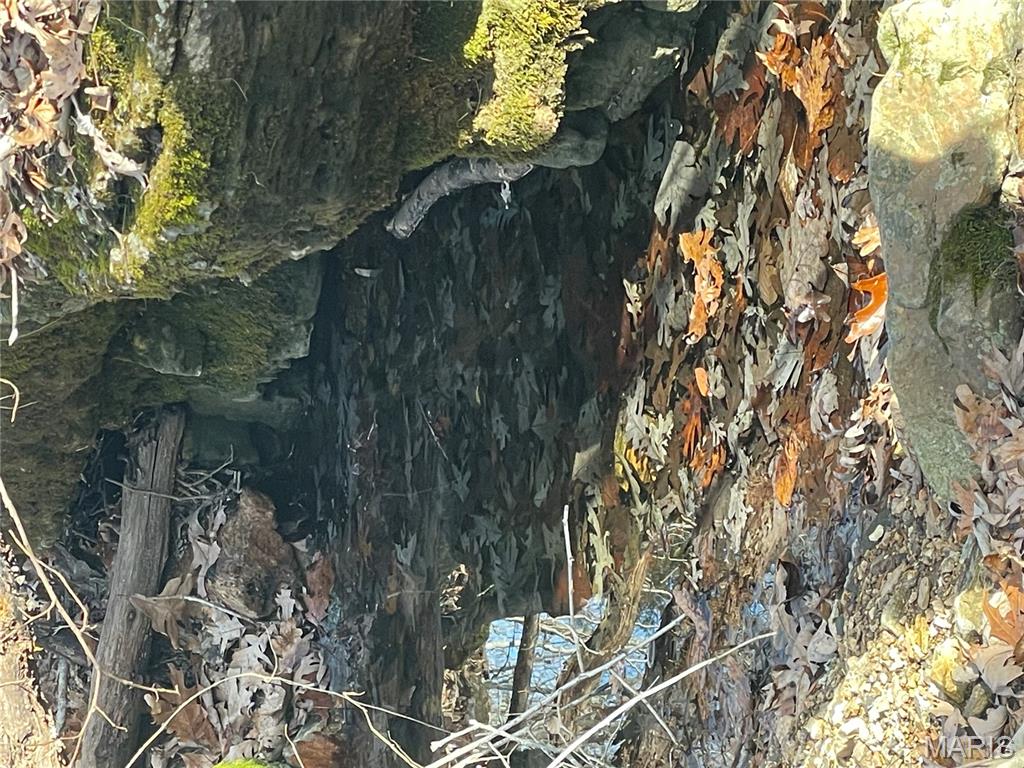 0 Diamond School Road Grubville, MO 63041 - Photo 29 of 58