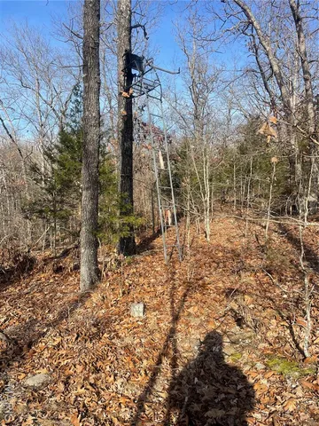 $674,000 | 0 Diamond School Road, Grubville, MO 63041