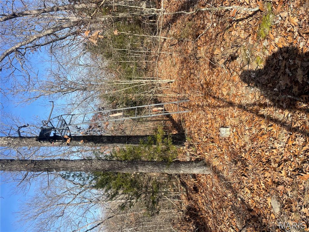 0 Diamond School Road Grubville, MO 63041 - Photo 30 of 58