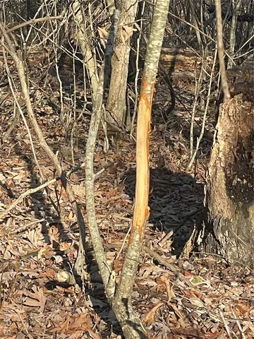 $674,000 | 0 Diamond School Road, Grubville, MO 63041