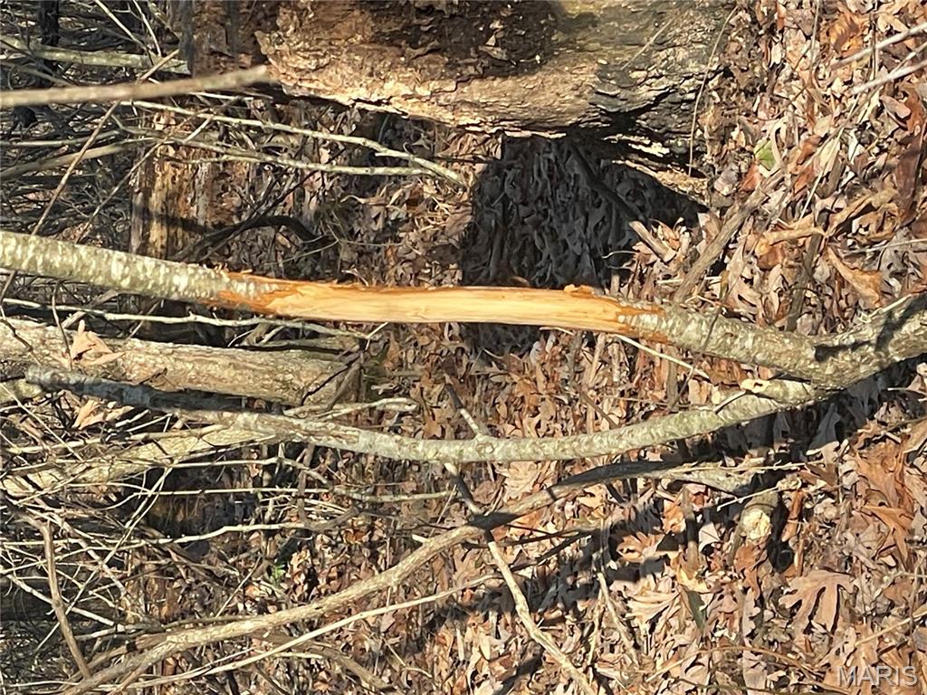 0 Diamond School Road Grubville, MO 63041 - Photo 31 of 58