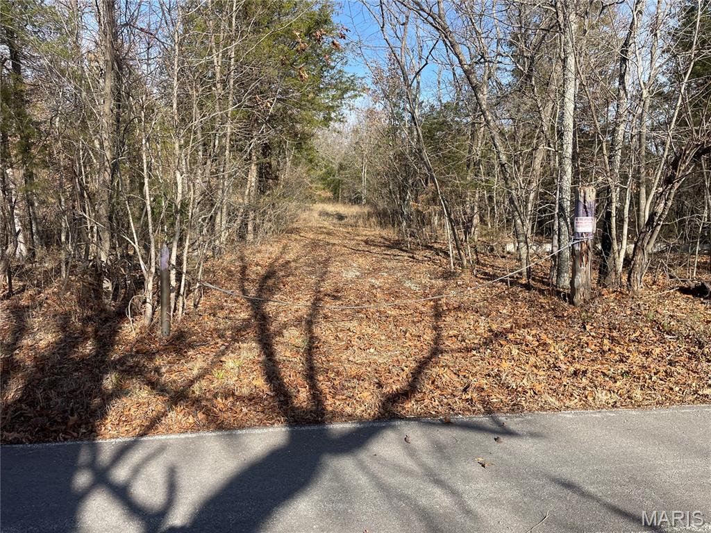 0 Diamond School Road Grubville, MO 63041 - Photo 32 of 58