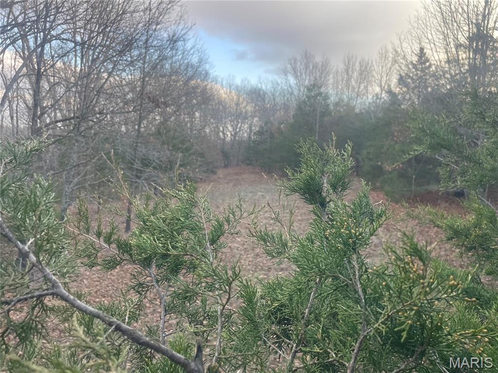 0 Diamond School Road Grubville, MO 63041 - Photo 35 of 58