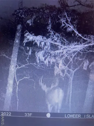 $674,000 | 0 Diamond School Road, Grubville, MO 63041