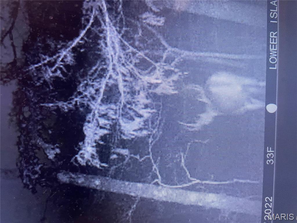 0 Diamond School Road Grubville, MO 63041 - Photo 37 of 58