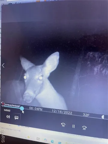 $674,000 | 0 Diamond School Road, Grubville, MO 63041