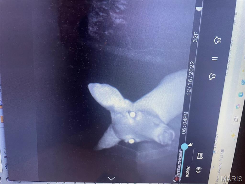 0 Diamond School Road Grubville, MO 63041 - Photo 38 of 58