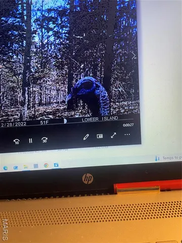 $674,000 | 0 Diamond School Road, Grubville, MO 63041