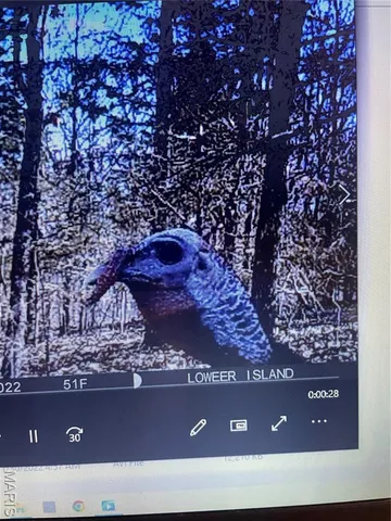 $674,000 | 0 Diamond School Road, Grubville, MO 63041