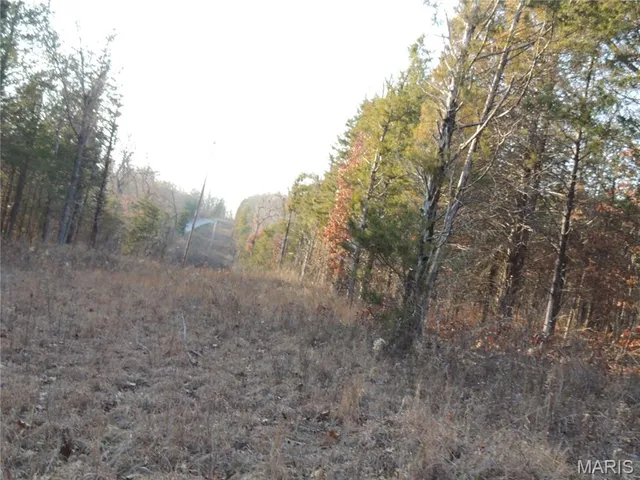 $674,000 | 0 Diamond School Road, Grubville, MO 63041