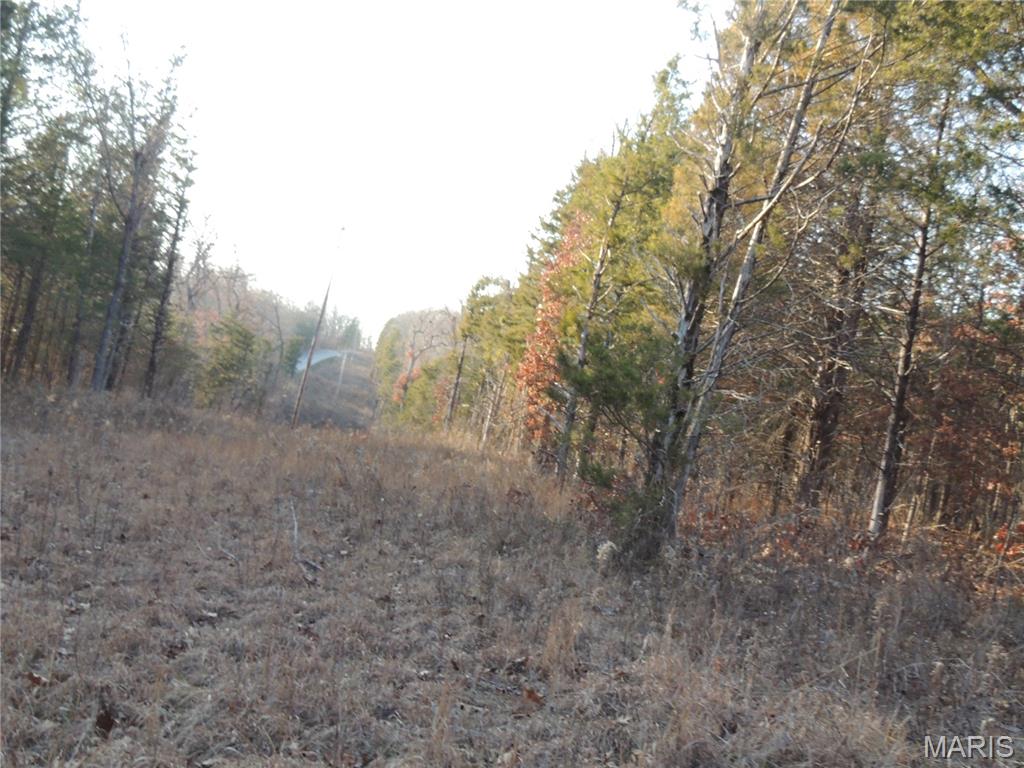 0 Diamond School Road Grubville, MO 63041 - Photo 4 of 58