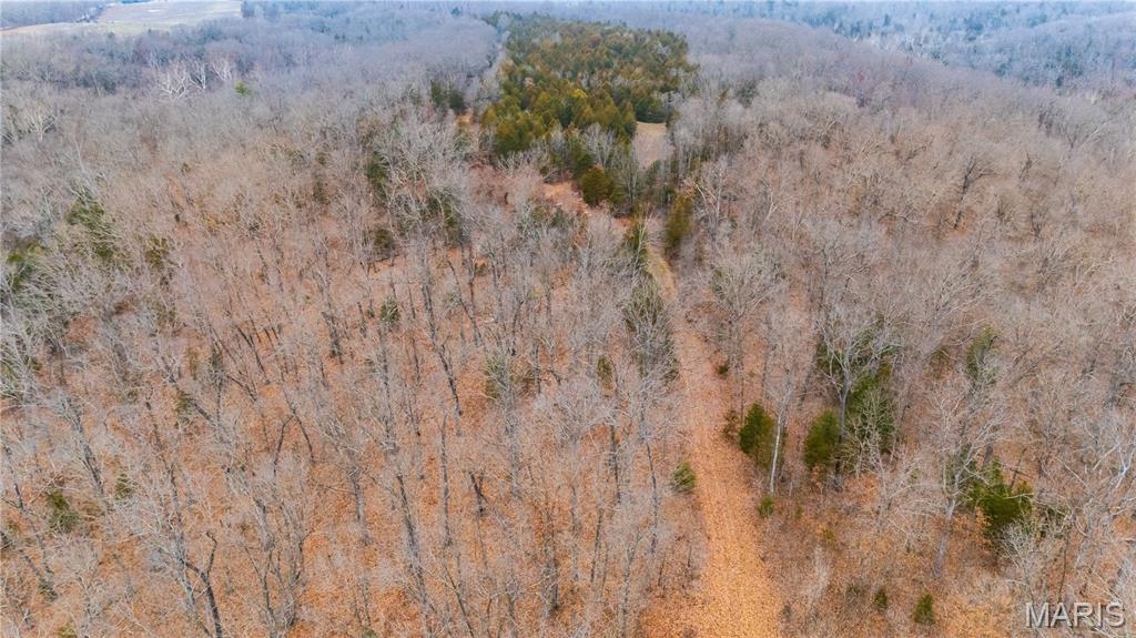 0 Diamond School Road Grubville, MO 63041 - Photo 44 of 58