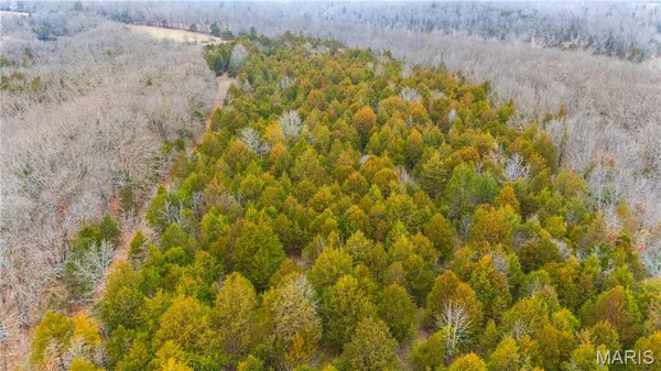 $674,000 | 0 Diamond School Road, Grubville, MO 63041