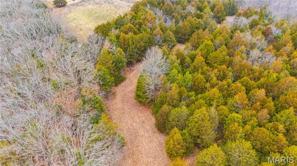 0 Diamond School Road Grubville, MO 63041 - Photo 47 of 58