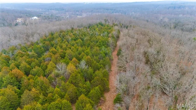 $674,000 | 0 Diamond School Road, Grubville, MO 63041