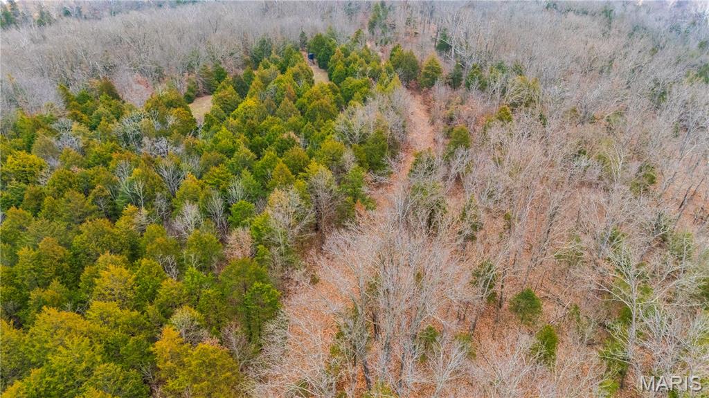 0 Diamond School Road Grubville, MO 63041 - Photo 50 of 58