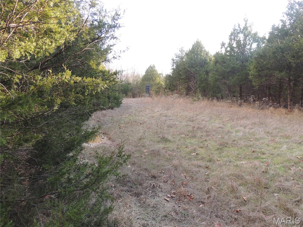 0 Diamond School Road Grubville, MO 63041 - Photo 5 of 58