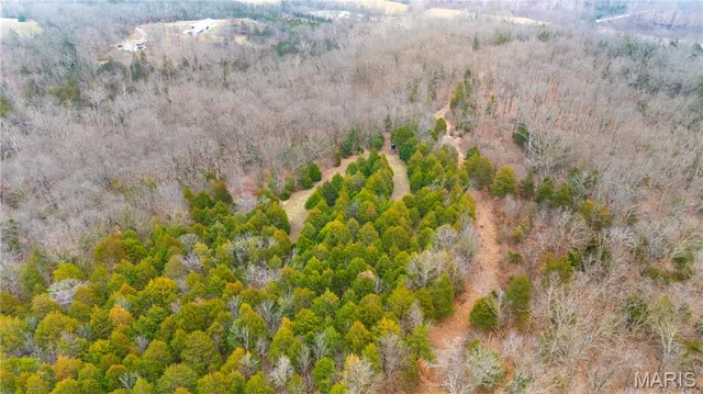 $674,000 | 0 Diamond School Road, Grubville, MO 63041