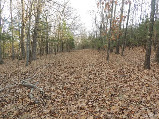 $674,000 | 0 Diamond School Road, Grubville, MO 63041