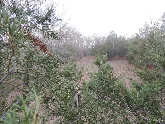 $674,000 | 0 Diamond School Road, Grubville, MO 63041