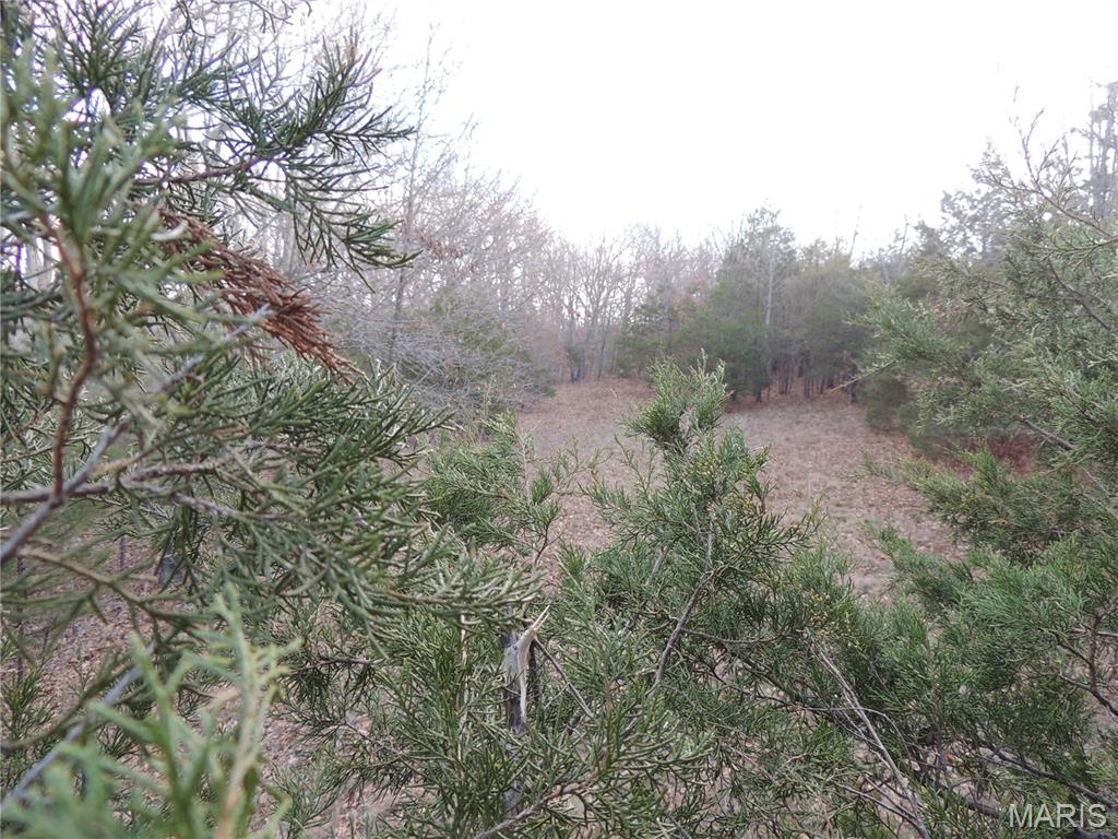 0 Diamond School Road Grubville, MO 63041 - Photo 8 of 58