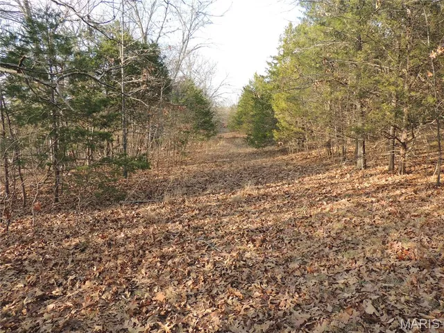 $674,000 | 0 Diamond School Road, Grubville, MO 63041