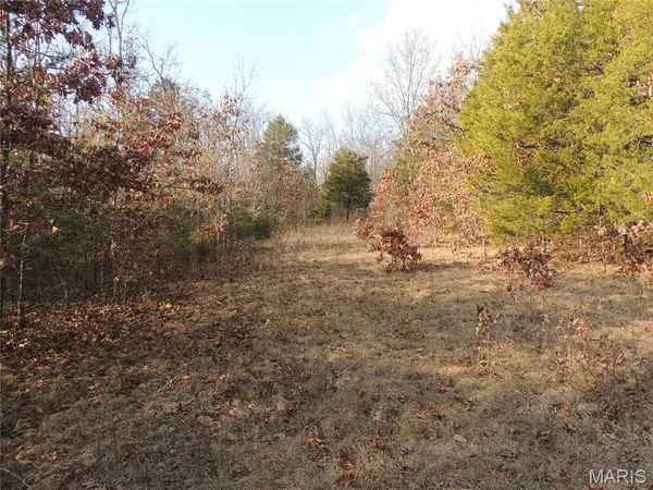 $674,000 | 0 Diamond School Road, Grubville, MO 63041