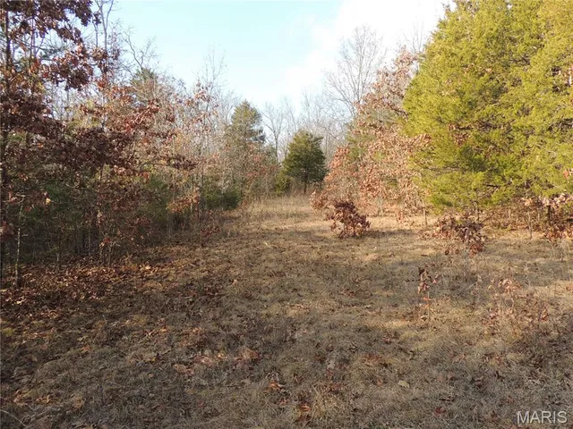 $674,000 | 0 Diamond School Road, Grubville, MO 63041