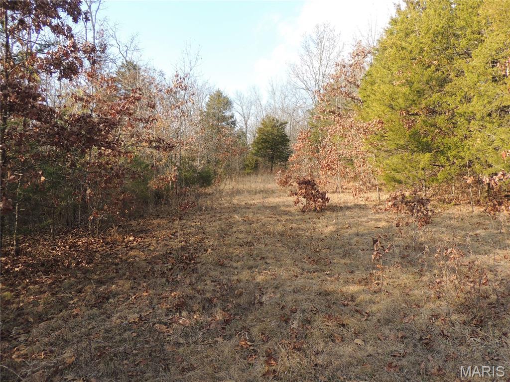 0 Diamond School Road Grubville, MO 63041 - Photo 10 of 58