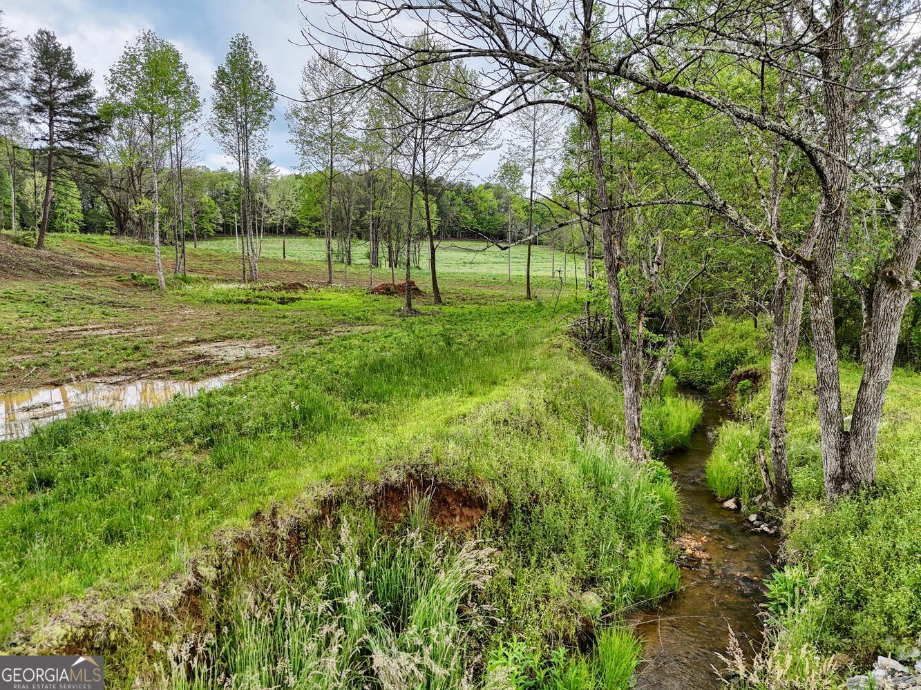 Ii Ii Shuler Road Blairsville, GA 30512 - Photo 11 of 19 a view of a park with large trees