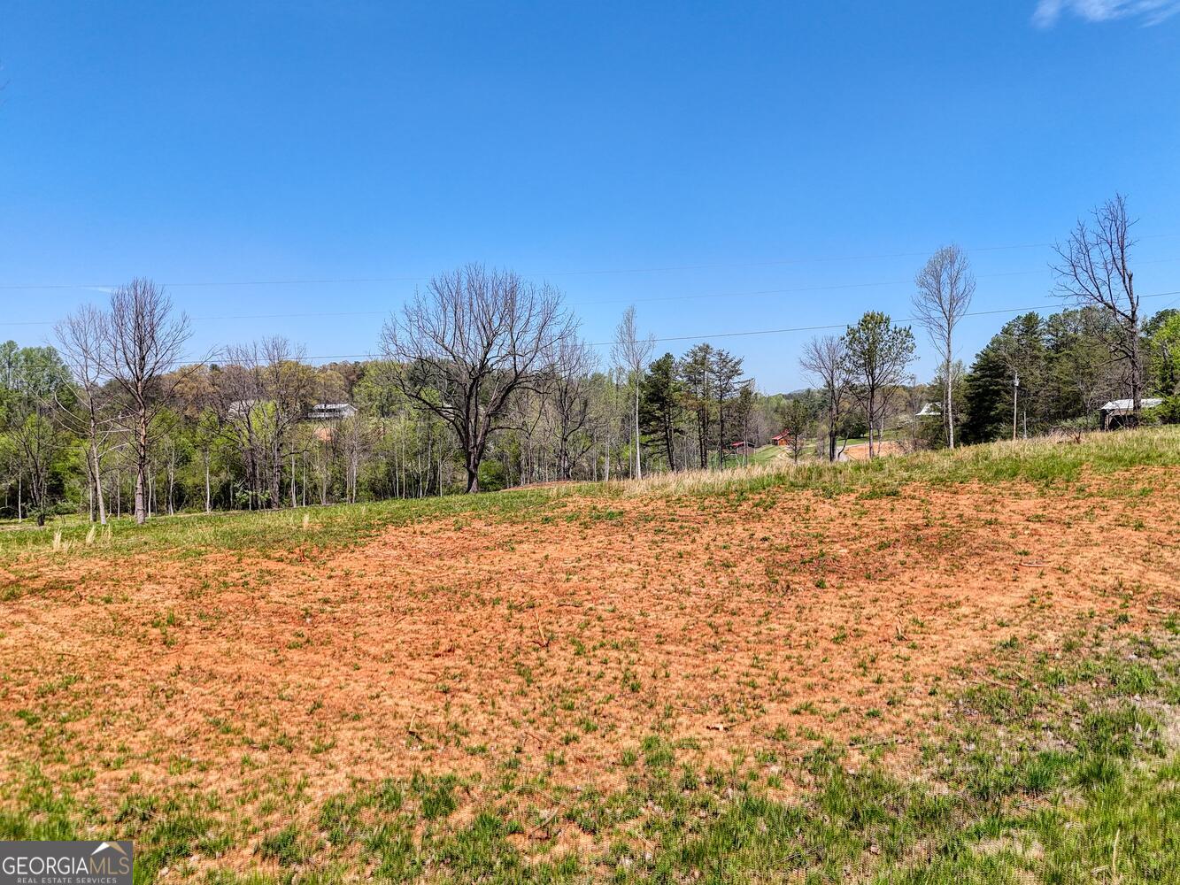 Ii Ii Shuler Road Blairsville, GA 30512 - Photo 12 of 19 a backyard of a house with large trees