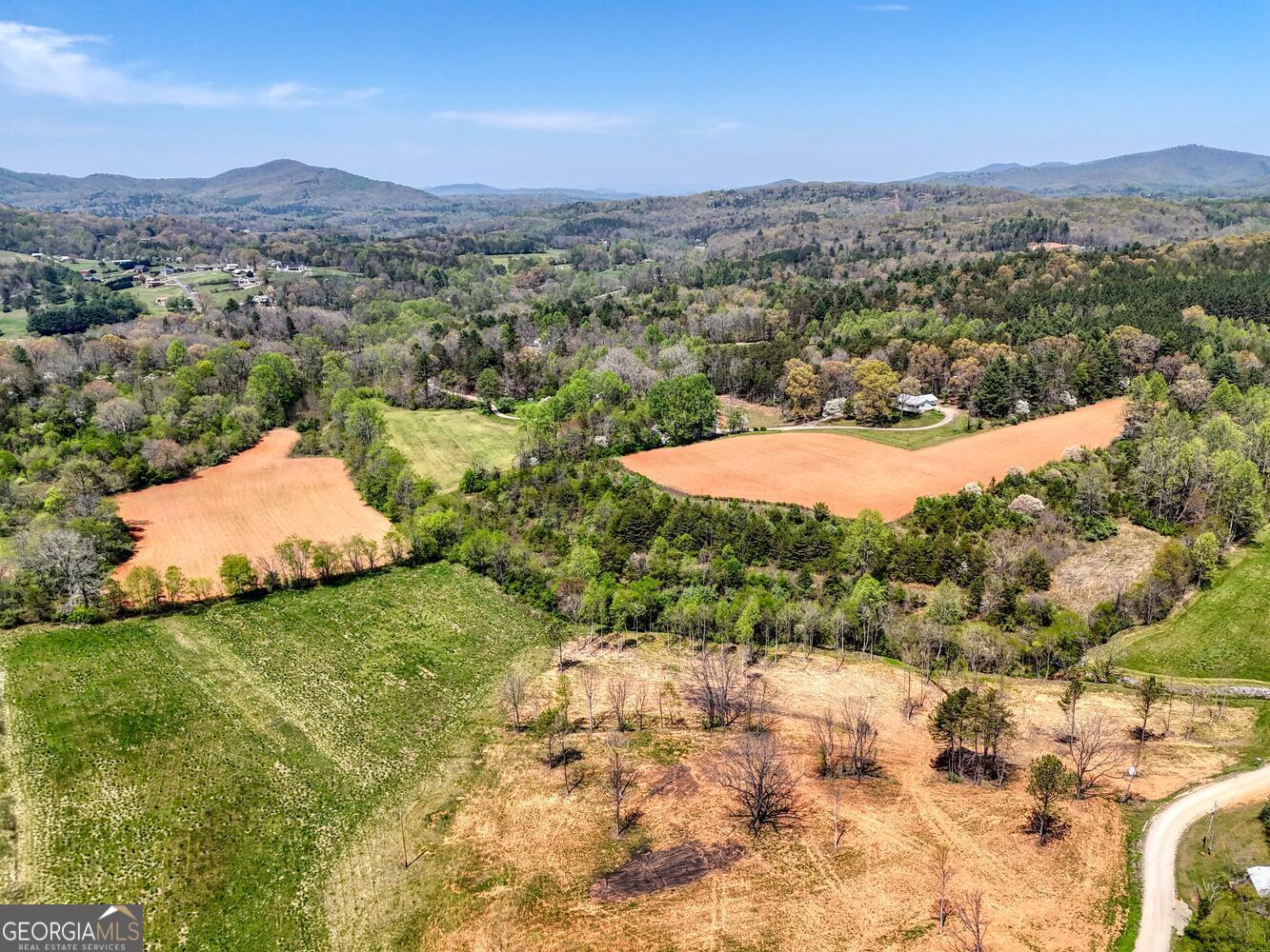 Ii Ii Shuler Road Blairsville, GA 30512 - Photo 19 of 19 a view of a dry yard with green space