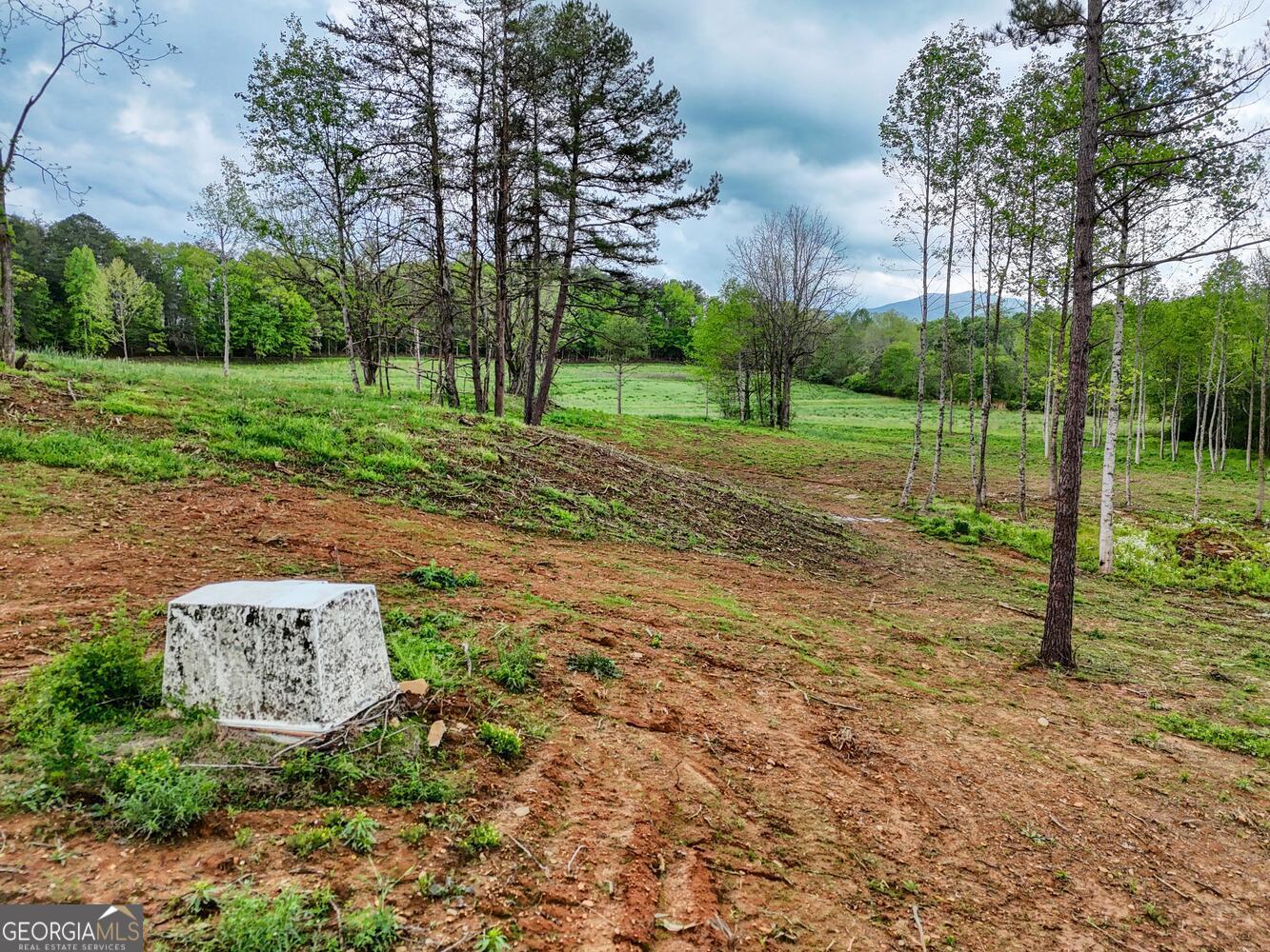 Ii Ii Shuler Road Blairsville, GA 30512 - Photo 2 of 19 a view of a park with large trees