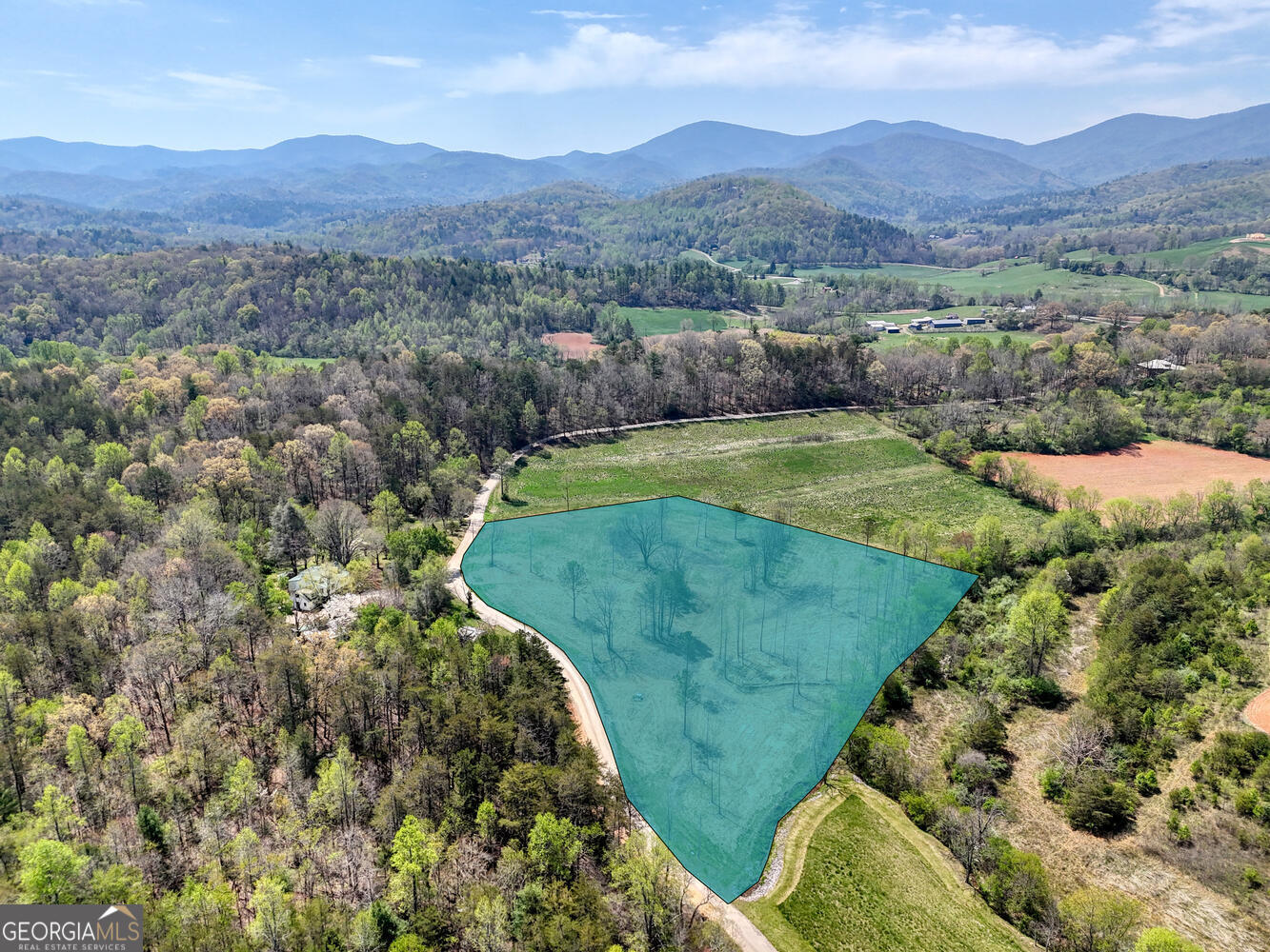 Ii Ii Shuler Road Blairsville, GA 30512 - Photo 3 of 19 a view of a lush green hillside and a houses