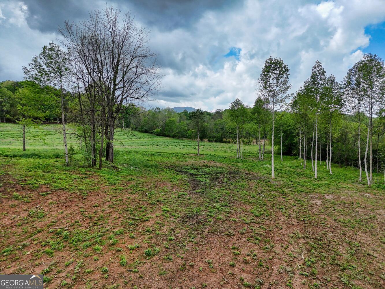 Ii Ii Shuler Road Blairsville, GA 30512 - Photo 4 of 19 a view of a park