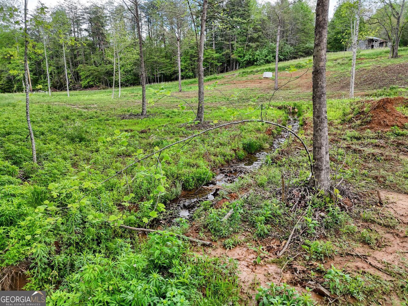 Ii Ii Shuler Road Blairsville, GA 30512 - Photo 6 of 19 a view of a park with a tree